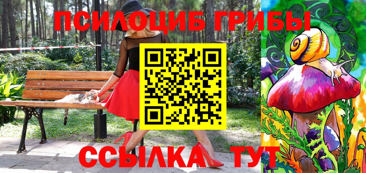 Тосно  Галлюциногенные грибы прущие грибы  Вход с VPN 