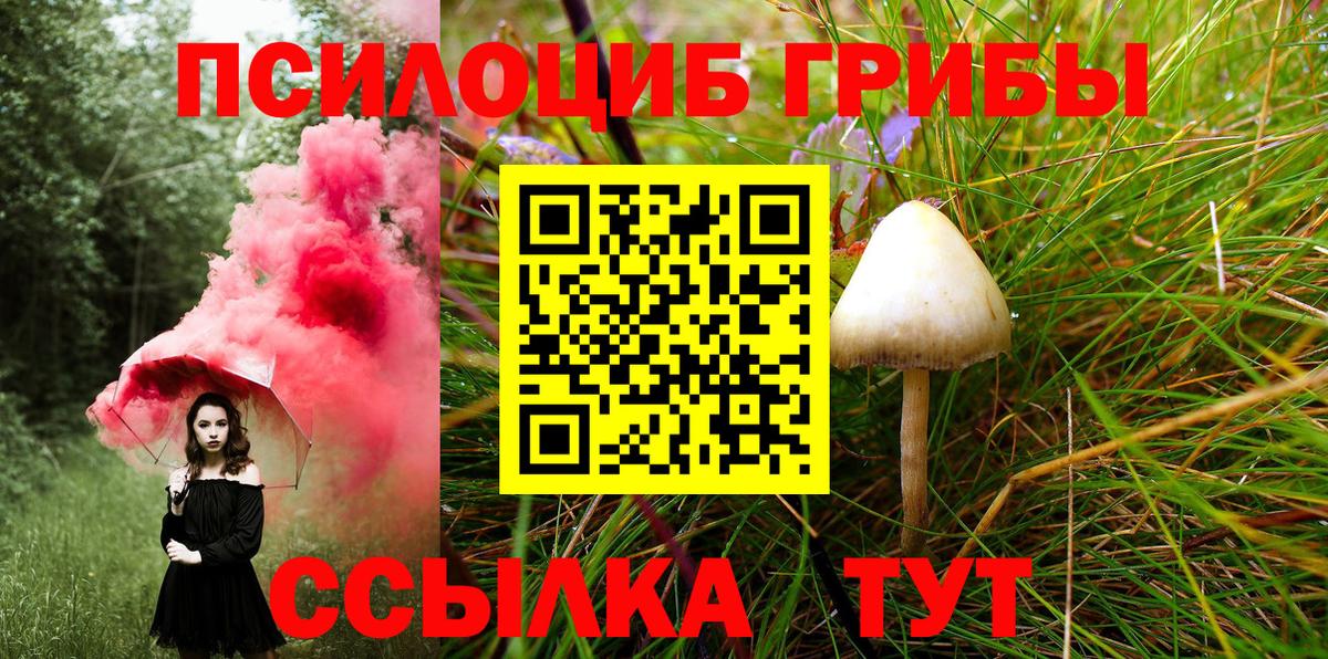 Галлюциногенные грибы Psilocybine cubensis Тосно